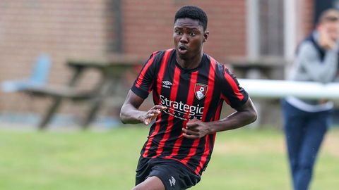 Read the full article - Howell adds two new faces to Bognor Regis Town squad