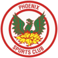 Phoenix Sports Logo