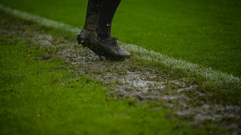 Read the full article - Gallery | South Shields (H)