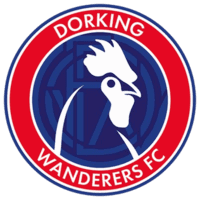 Dorking Wanderers Women