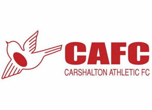 Carshalton Athletic Academy