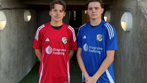Read the full article - Dartford Youth Academy Welcomes Diagrama Fostering as a Sponsor