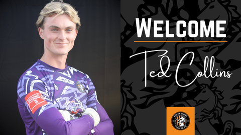 Read the full article - Welcome: Ted Collins