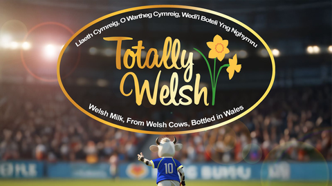 Read the full article - Totally Welsh welcomed on board as Academy back-of-shirt sponsor