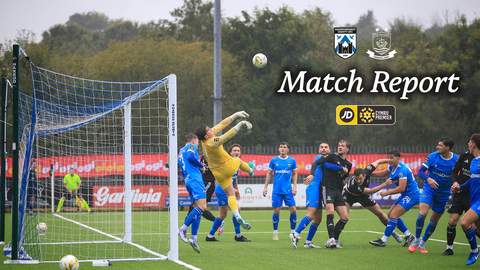 Read the full article - Bluebirds endure frustrating afternoon as Nomads take the spoils at the Meadow