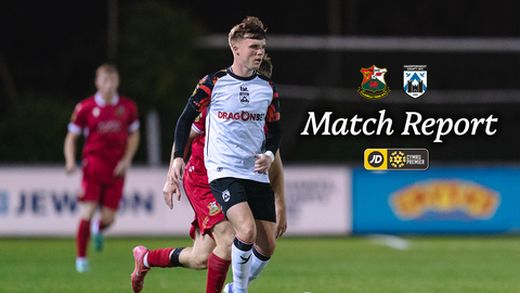Read the full article - Bluebirds fail to make pressure tell as Reds take narrow victory at Stebo