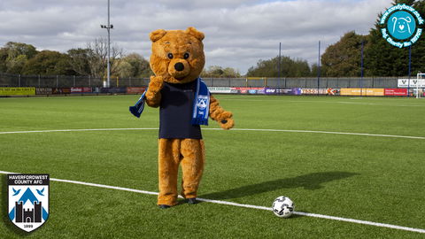 Read the full article - Haverfordwest County welcome Sandy Bear on board as official Community Partner