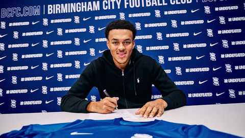 Read the full article - Bulls Bring in Harley Hamilton