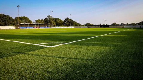 Read the full article - Supporter Guide: Heybridge Swifts (A)