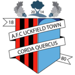 AFC Uckfield Town