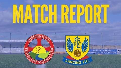 Read the full article - 7 Goal Thriller at Steyning!