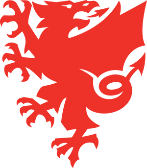 FAW National Academi South Development League