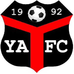 Ynyshir Albions