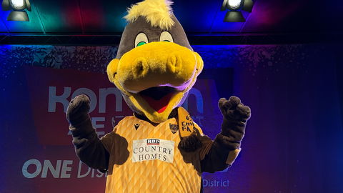 Read the full article - Iggy at Christmas lights switch-on