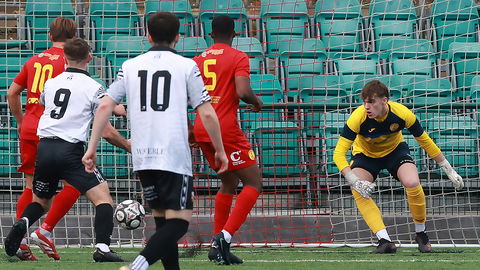 Read the full article - Gallery: Newhaven 1-0 Pagham
