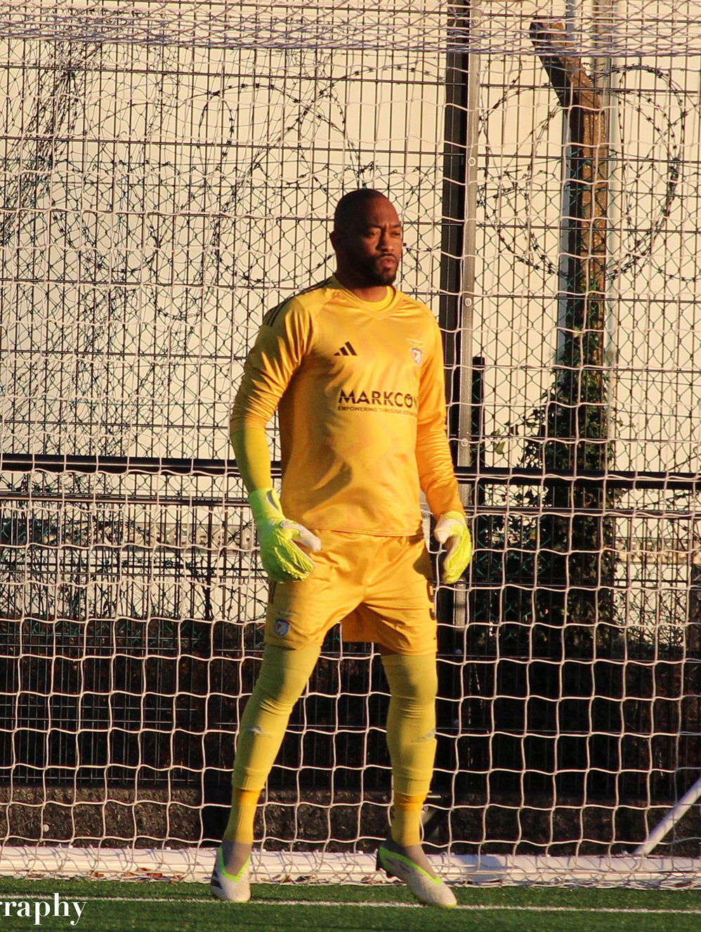 Profile photo of Luis Silva