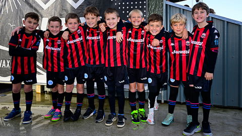 Read the full article - Truro City vs Altrincham – Mascot Gallery