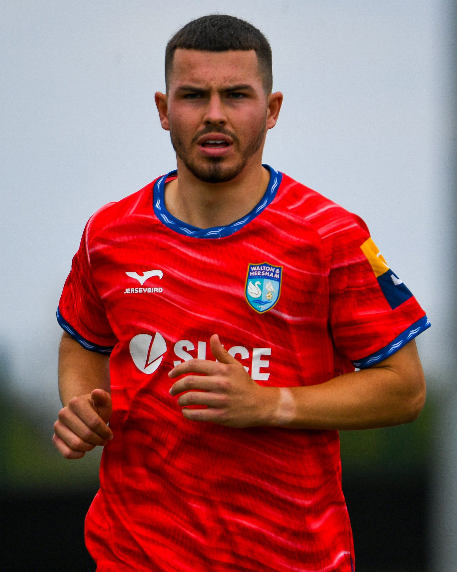 Profile photo of Jack Wood