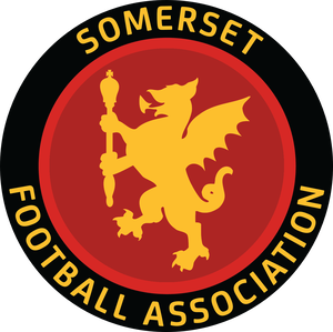 Somerset FA Women's Junior Cup