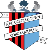 AFC Uckfield Town