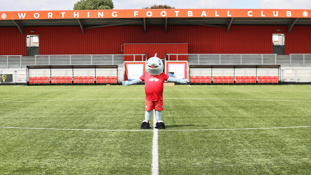 Read the full article - Worthing FC Announce Official Club Mascot