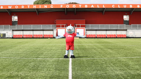 Read the full article - Worthing FC Announce Official Club Mascot