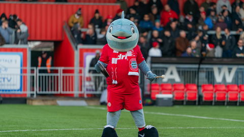 Read the full article - The WFCSA Needs You!